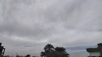 أمطار ورياح قوية.. الأرصاد الجوية تتوقع برودة اليوم الإثنين 19 يناير